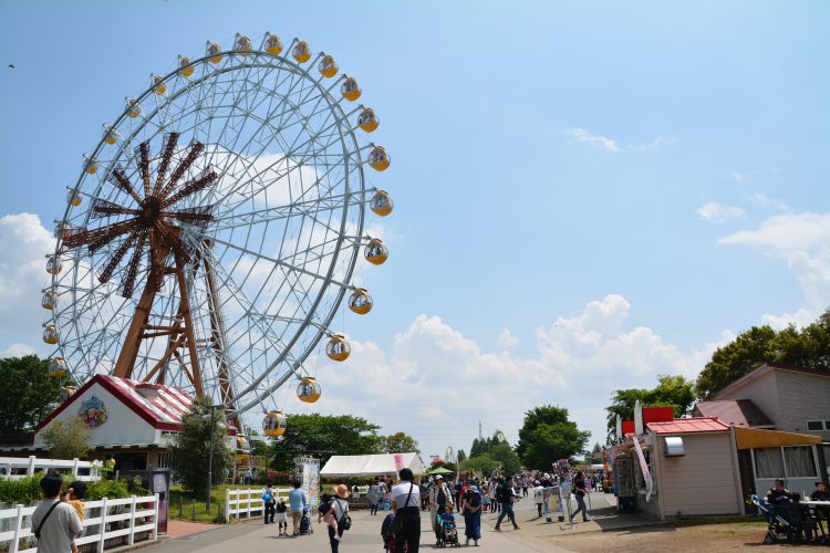 姫路市 ひめじ手柄山遊園で1月2日と3日の二日間 お正月イベント が開催されるそうです 号外net 姫路市