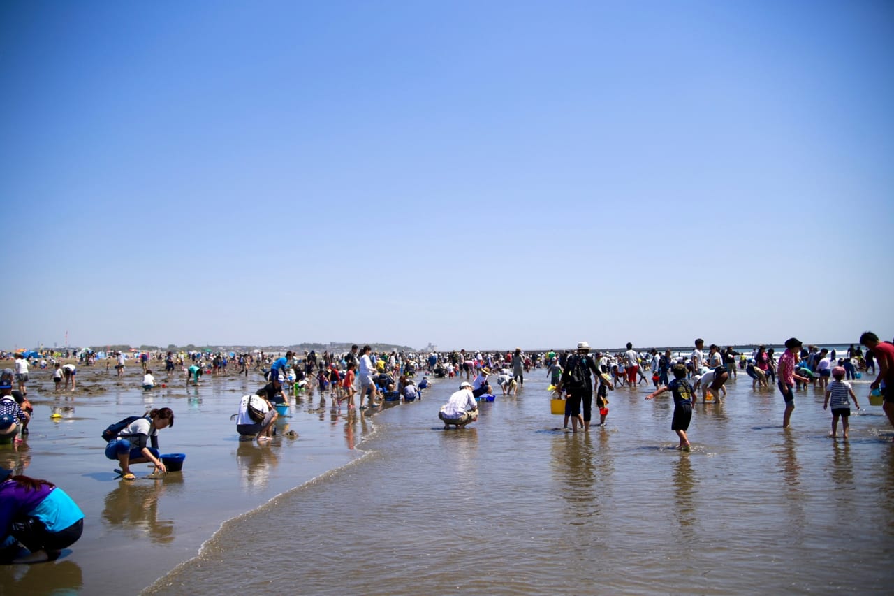 姫路市 姫路の夏のスポット 的形海水浴場 潮干狩り場 が海開きしているそうです 号外net 姫路市